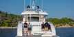 Maiora 26