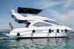 Majesty 44
