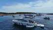 Majesty 44