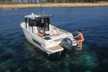 Merry Fisher 795