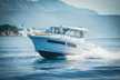 Merry Fisher 855