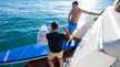 Monachus 70 Fly