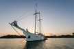 Mutiara Laut