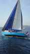 Ocean Racer 45