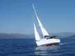 Oceanis 343