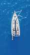 Oceanis 40.1