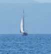 Oceanis 43