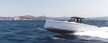 Pardo 38