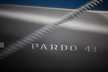Pardo 43