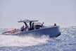 Pardo 43