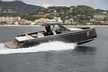 Pardo 43