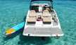 Sea Ray 290