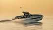 Fiart 43 Seawalker