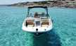 Sea Ray 290