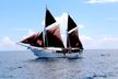 The Katharina