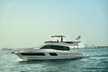 Majesty 48
