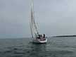 Dufour 34 Performance