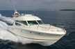 Prestige 46