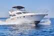 Princess 480