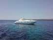 Princess V42