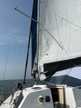 RM 880 biquille