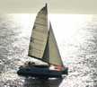 Salina 48