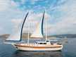 Sea Breeze
