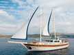 Sea Breeze
