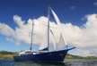 SeaBird