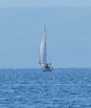 Sun Odyssey 36i