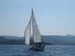 Sun Odyssey 36i