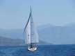 Sun Odyssey 36i