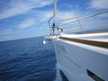 Sun Odyssey 449