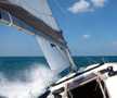 Sun Odyssey 479