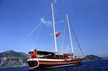 Caferoglu 7