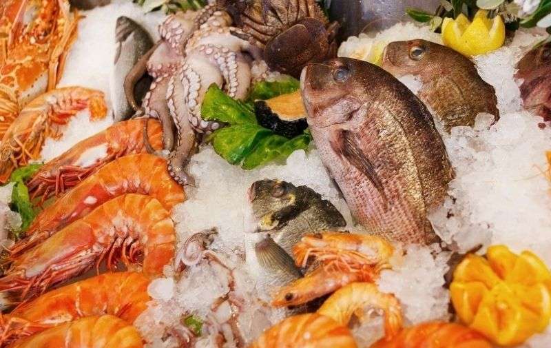 Unsere Tipps für eine optimale Verpflegung an Bord