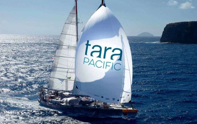 Mit GlobeSailor auf das Expeditionsschiff Tara