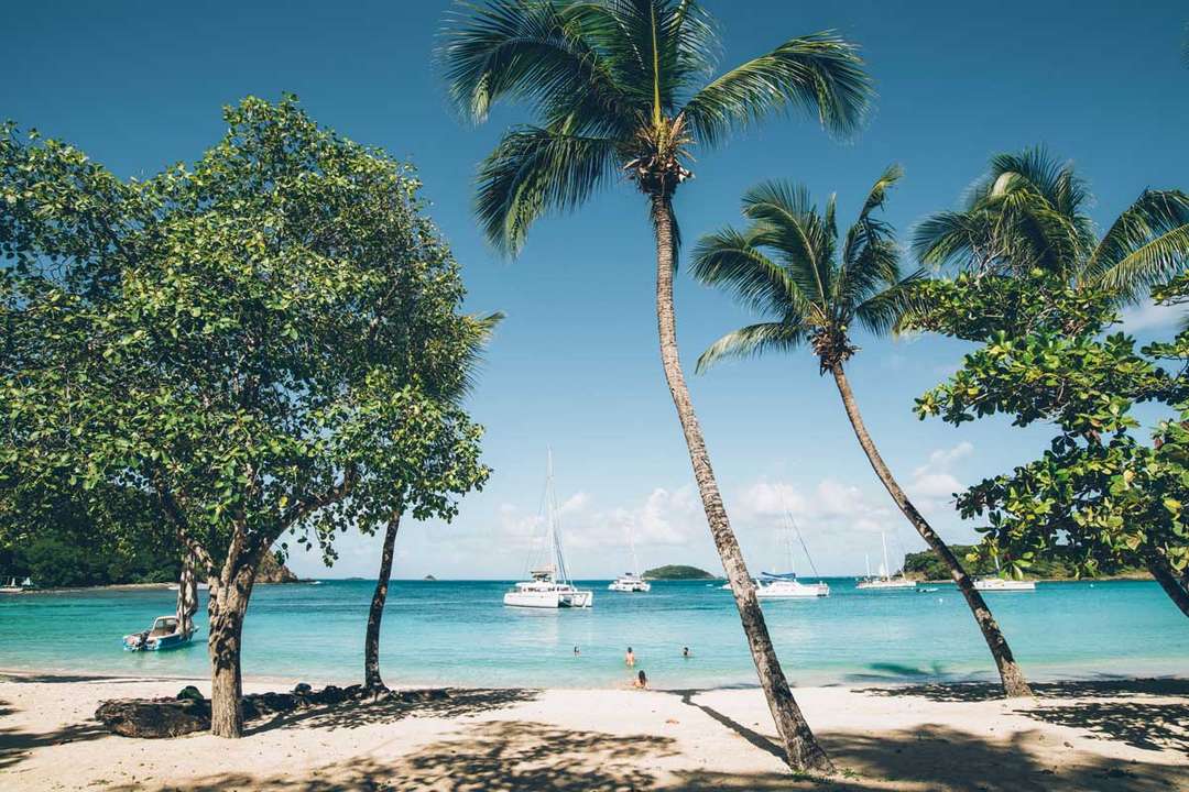 Saison 2022 : Tendances et chiffres clés de la croisière et de la location de bateaux