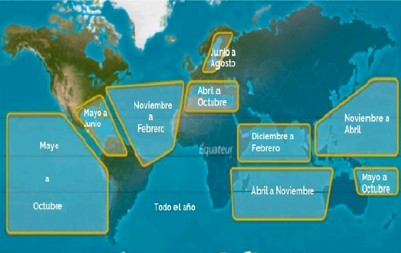 ¿Dónde y cuándo alquilar por temporadas de navegación?