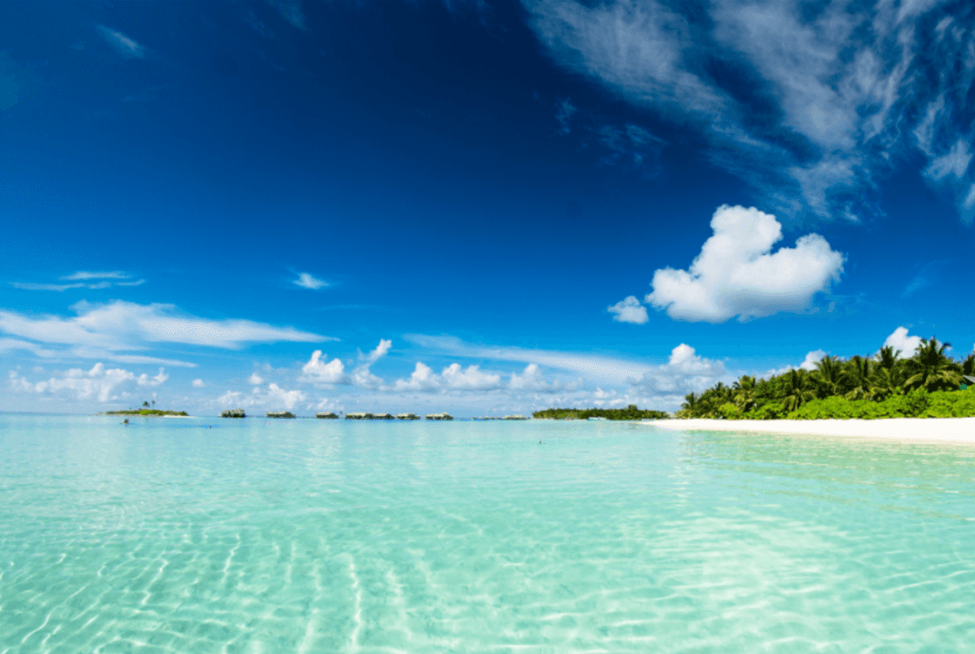 5 CONSEJOS PARA CUIDAR NUESTROS OCEANOS