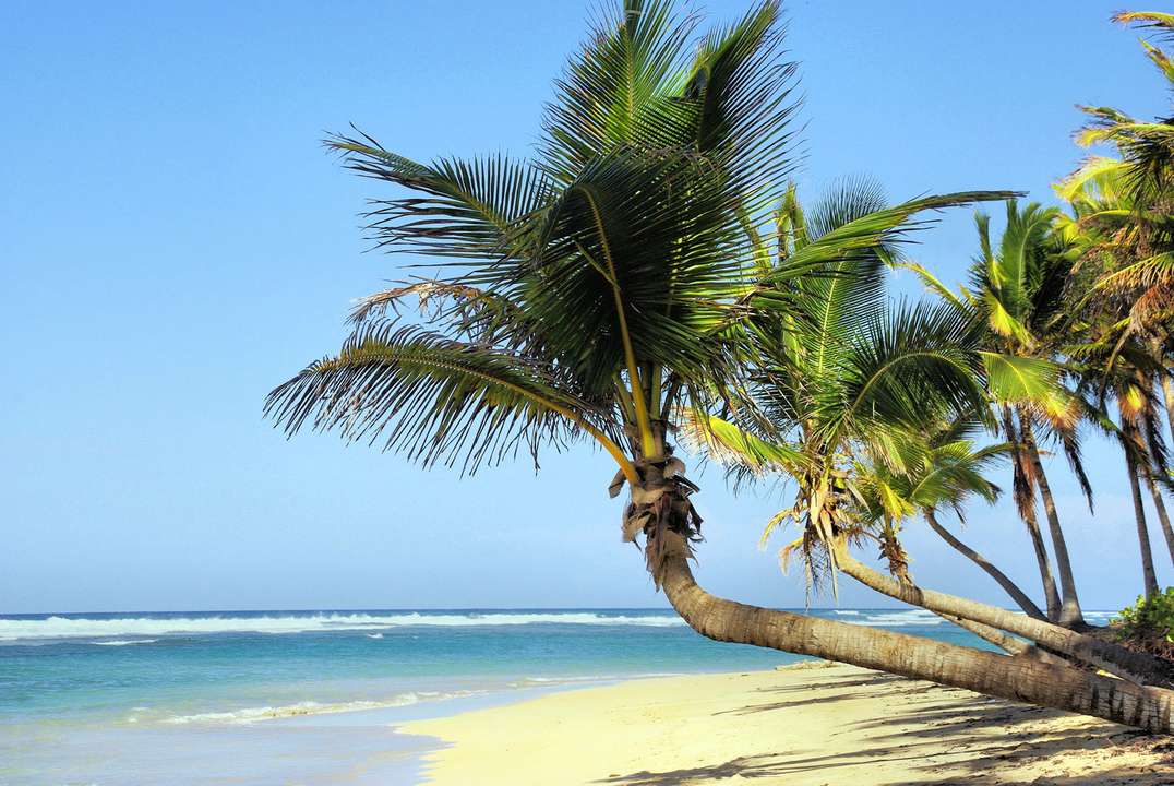 Follow the guide: Marin takes you to Cuba!
