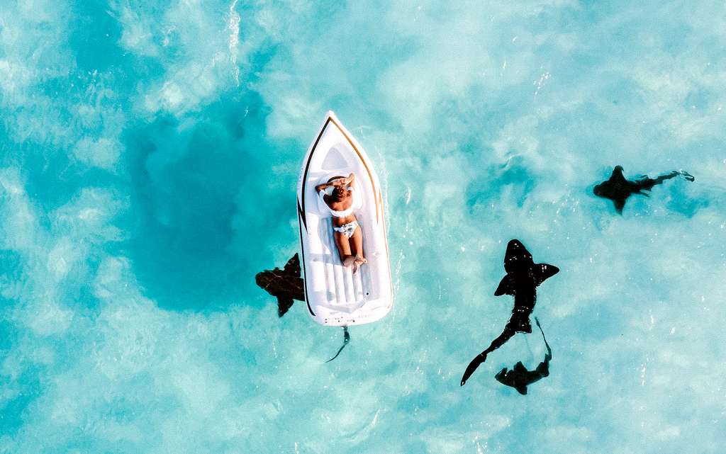 LA MIGLIORE VACANZA A VELA ALLE BAHAMAS