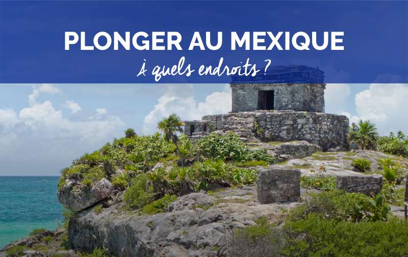 Croisières au Mexique : quel spot pour une meilleure plongée ?
