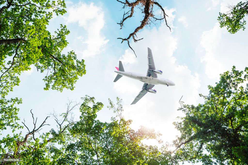 Écotourisme : notre vision du voyage et de son empreinte écologique