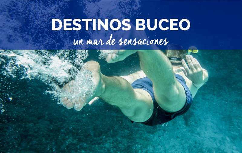 Cruceros: Top 3 destinos para bucear