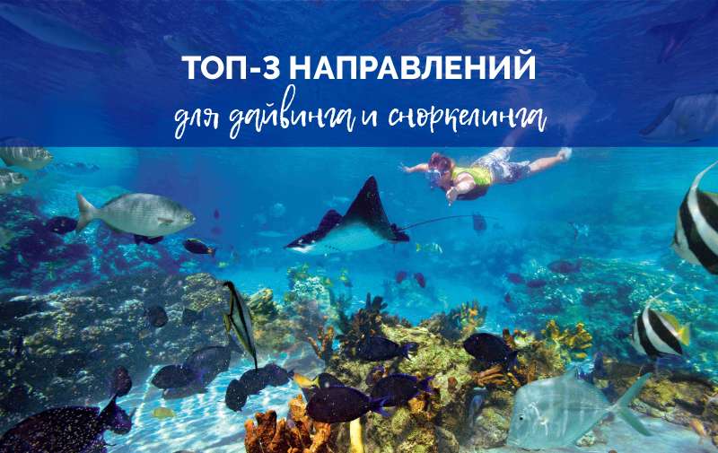 Где почувствовать себя "как рыба в воде"?
