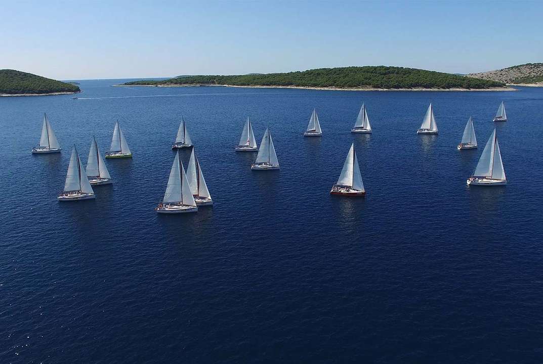 Savvy Navvy, le Google maps de la mer