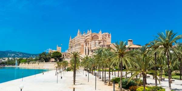 Palma e ancora Palma