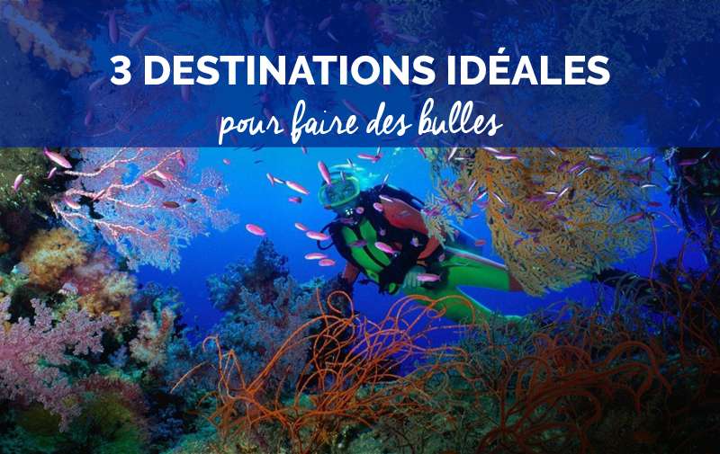Croisières plongée : Top 3 des destinations
