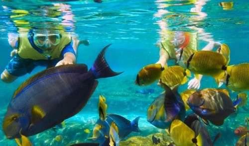 Snorkeling: Top activity to try while sailing!